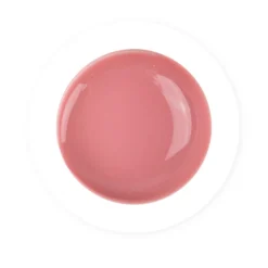 ACRYGEL en POT - 50gr - Cover Nude | Purple Professional New