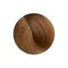 Coloration crème sans ammoniaque COLLAGEN : 8.3 Light Golden Blonde - 100 ml | Violet Fashion