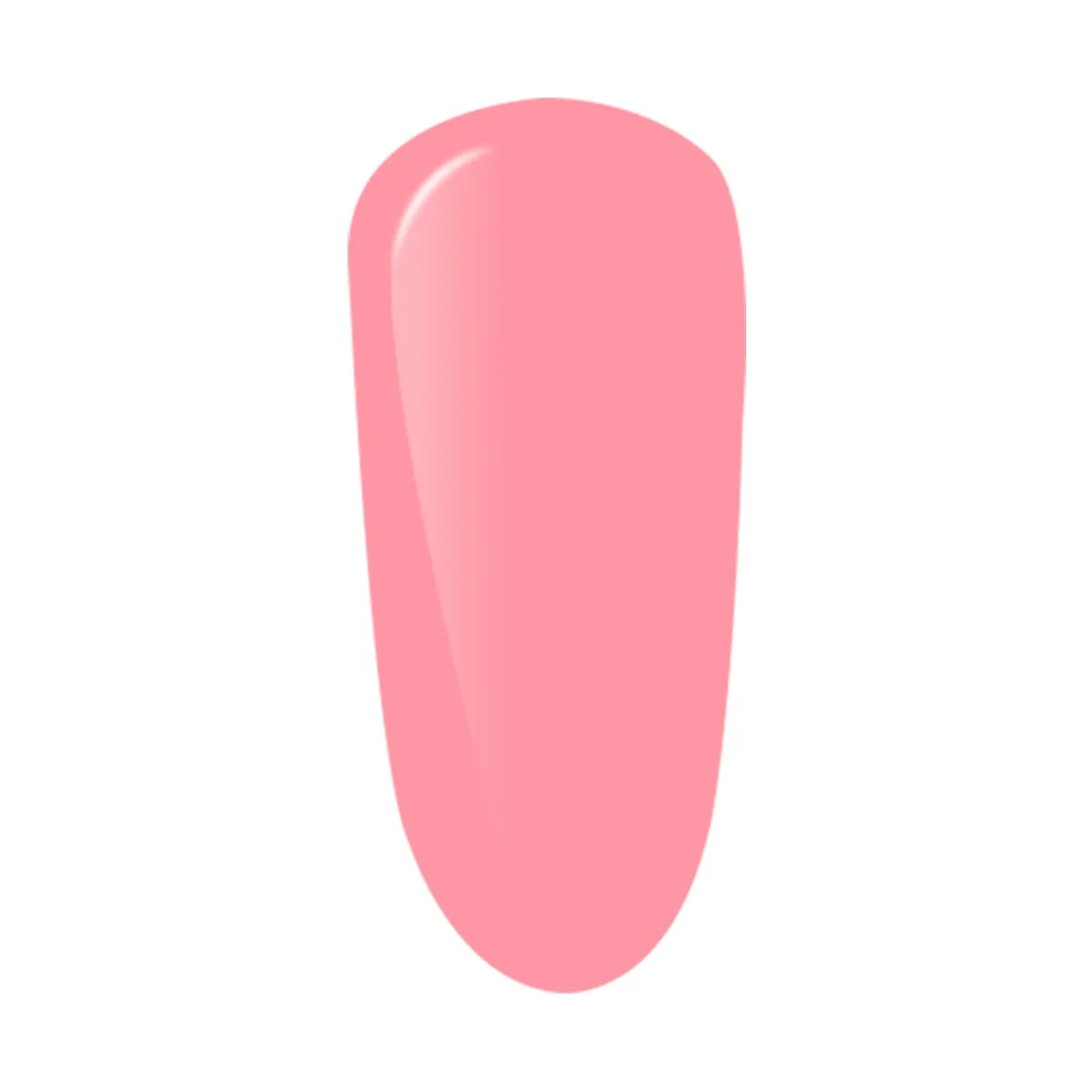 ELASTIC BASE COLOR - Conch Rose 15 ml | Purple Professional Best