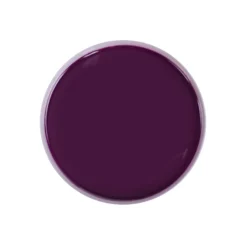 GEL DESIGN 5 GR sans résidu - RAISIN | Purple Professional Best