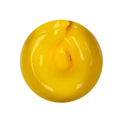 GEL PAINT 5 GR - JAUNE | Purple Professional Discount