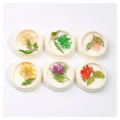 Set N°1 de Fleurs séchées pour Nail Art - 6 couleurs | Fraise Nail Shop Best