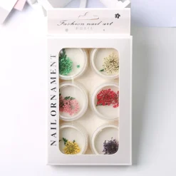 Set N°1 de Fleurs séchées pour Nail Art - 6 couleurs | Fraise Nail Shop Best