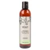 Shampoing redensifiant BOTOL FILLER - 250 ml | Violet Discount