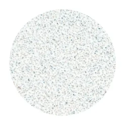 Pro - Limes Recharges pour disque PODODISC M Grain 80 (50 pcs) | Staleks Clearance