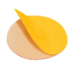 Pro - Limes Recharges pour disque PODODISC L Grain 240 (50 pcs) | Staleks Discount