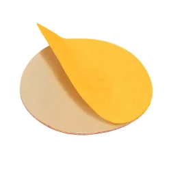 Pro - Limes Recharges pour disque PODODISC M Grain 100 (50 pcs) | Staleks Outlet