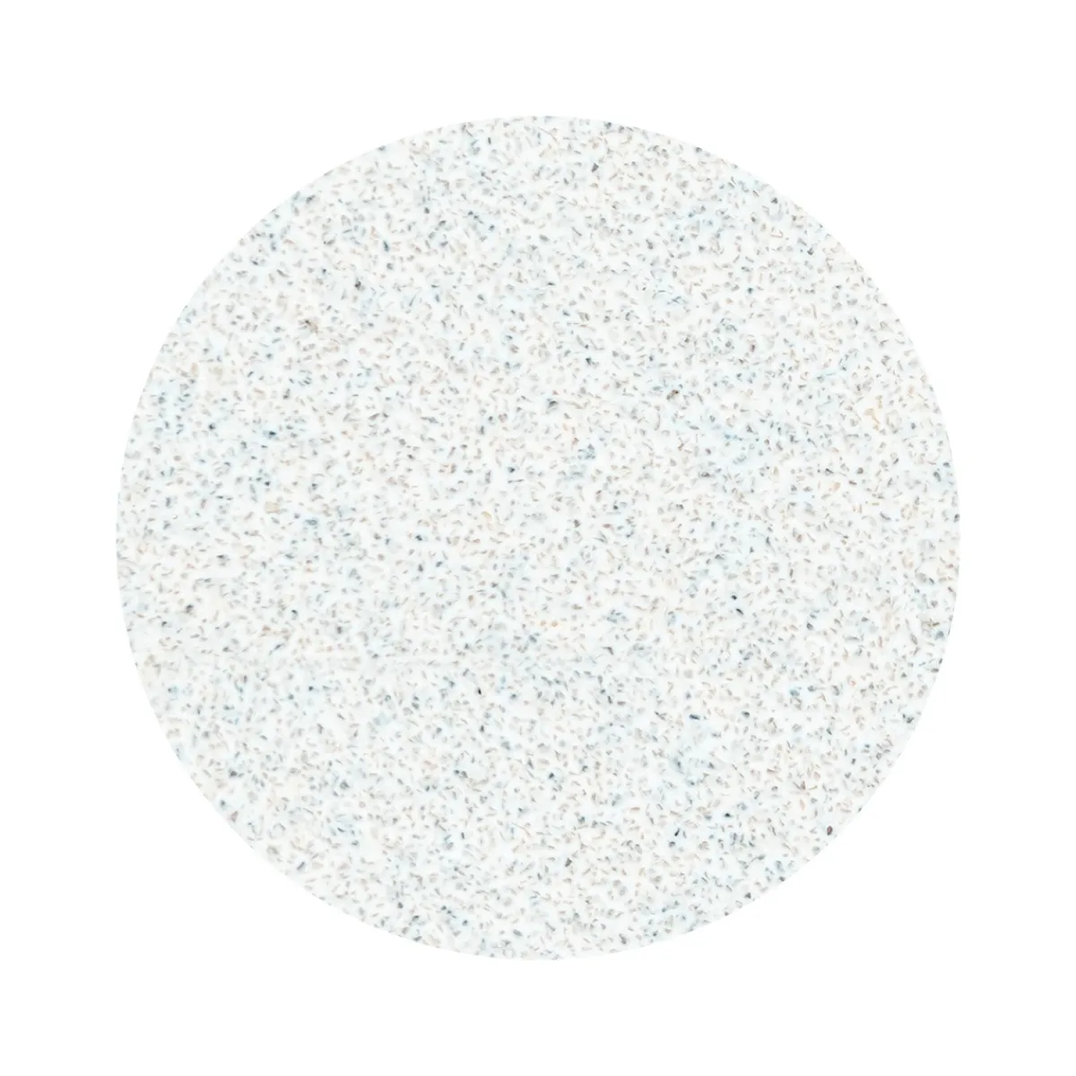 Pro - Limes Recharges pour disque PODODISC M Grain 100 (50 pcs) | Staleks Outlet