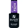 VERNIS SEMI-PERMANENT P2210 - GIVE ME collection | Purple Professional Outlet