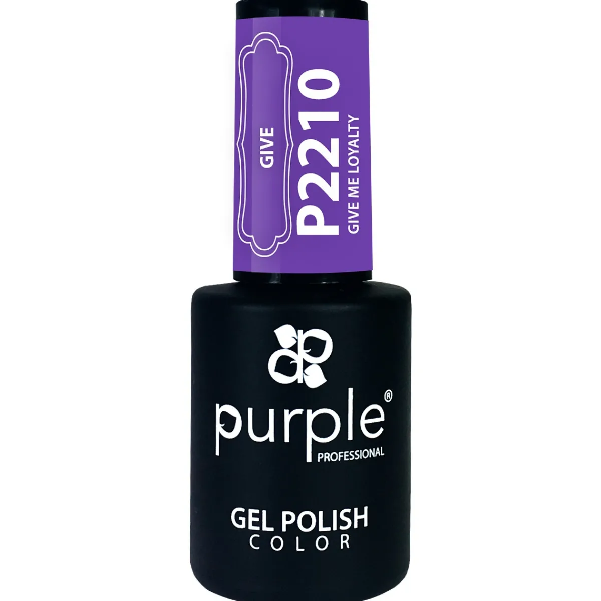 VERNIS SEMI-PERMANENT P2210 - GIVE ME collection | Purple Professional Outlet