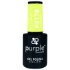 VERNIS SEMI-PERMANENT P2178 - DELISH collection | Purple Professional Discount