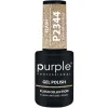 VERNIS SEMI-PERMANENT P2344 - FLASH collection | Purple Professional Fashion