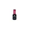 VERNIS SEMI-PERMANENT P2007 | Purple Professional Discount