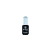 VERNIS SEMI-PERMANENT P2105 | Purple Professional Discount