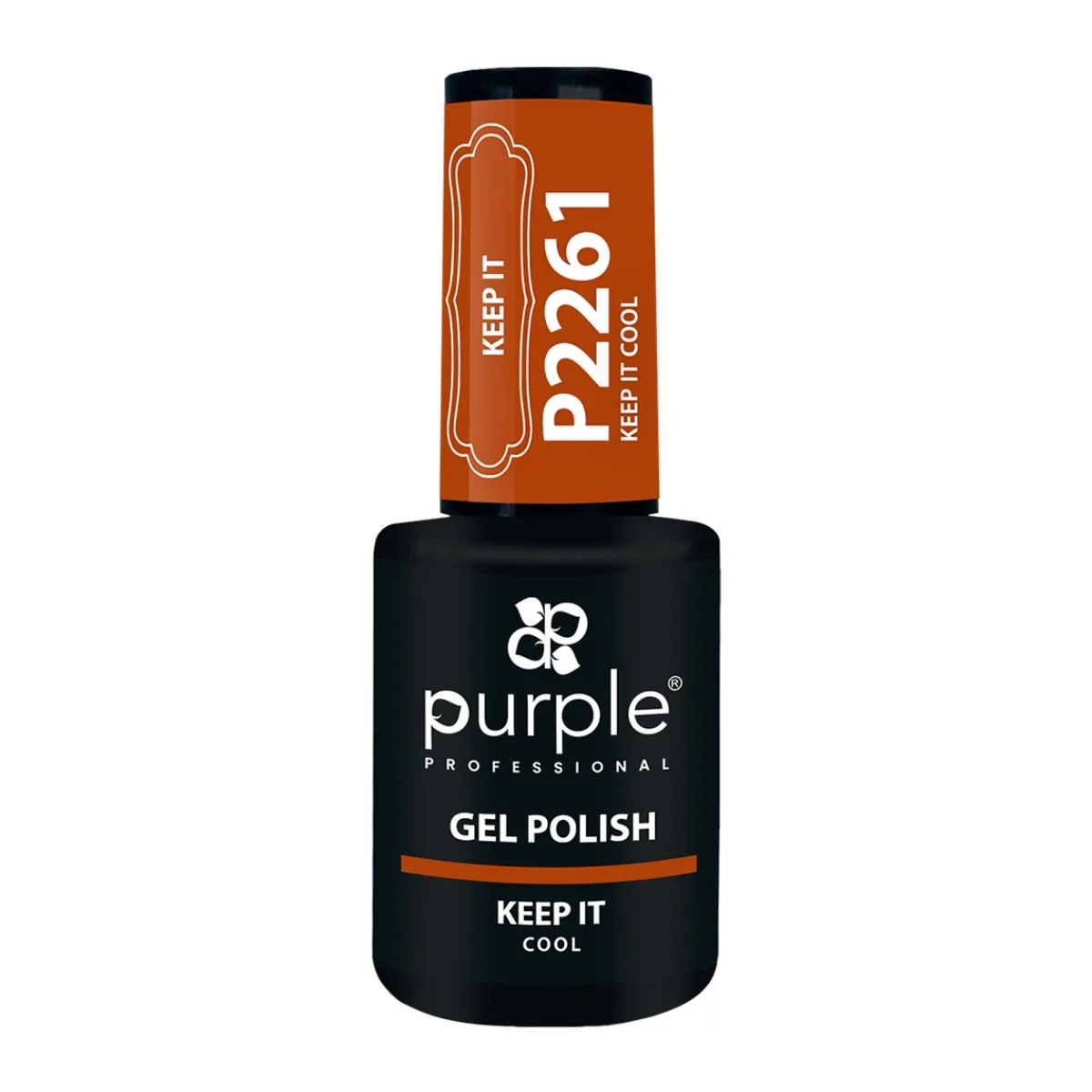 VERNIS SEMI-PERMANENT P2261 - KEEP IT collection | Purple Professional New
