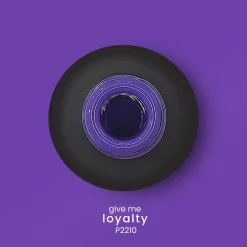 VERNIS SEMI-PERMANENT P2210 - GIVE ME collection | Purple Professional Outlet