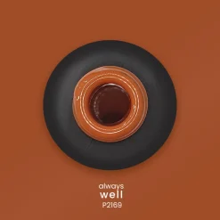 VERNIS SEMI-PERMANENT P2169 - ALWAYS Collection | Purple Professional Hot